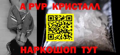 стаф Кандалакша