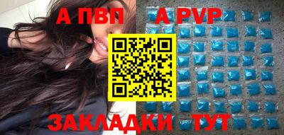 стаф Кандалакша