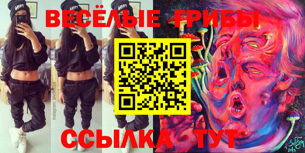 Псилоцибиновые грибы мицелий Кувандык